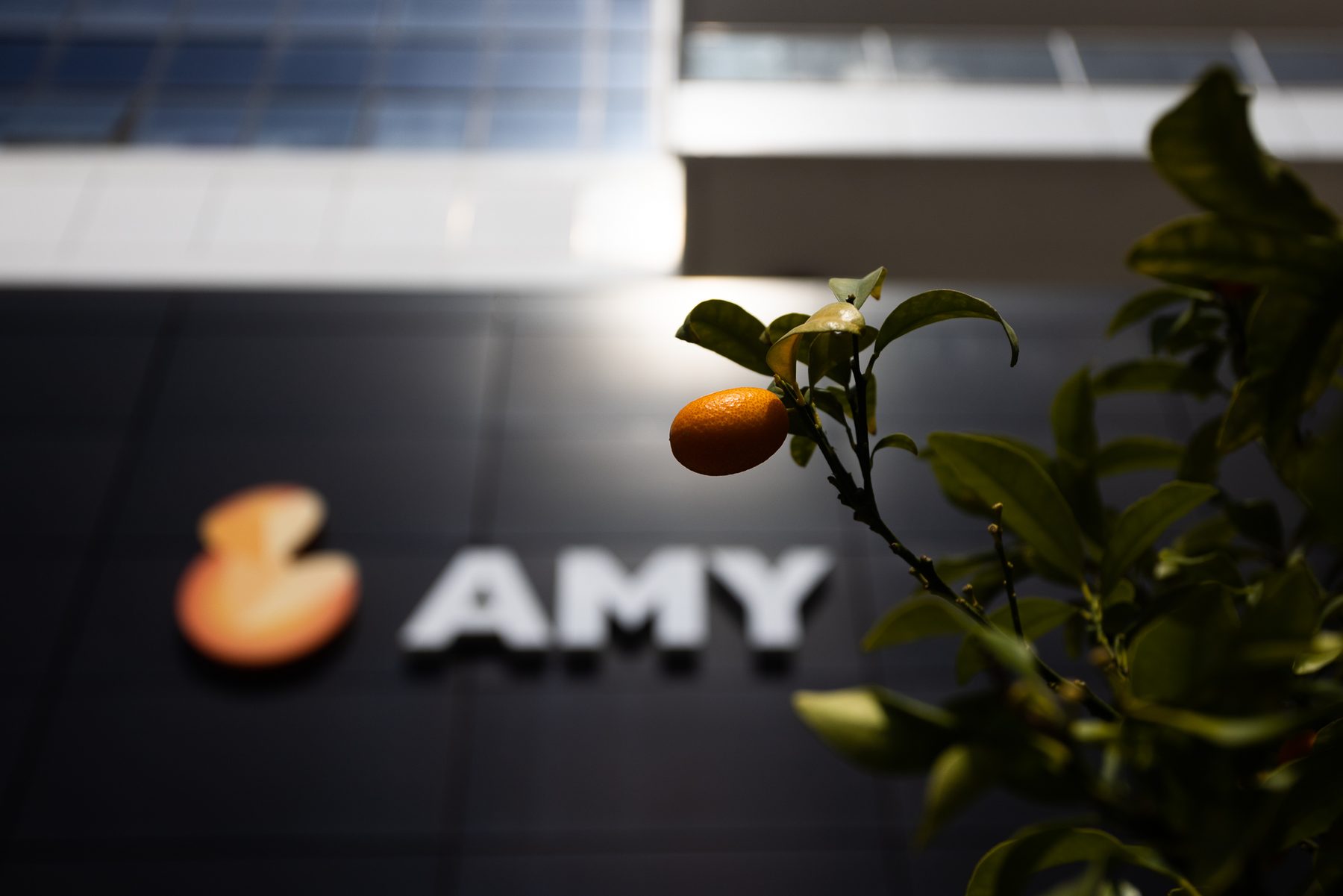 שלט AMY בחזית המסחר